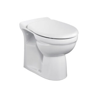 Goltava Back To Wall Toilet Seat Buy Online In Onitsha